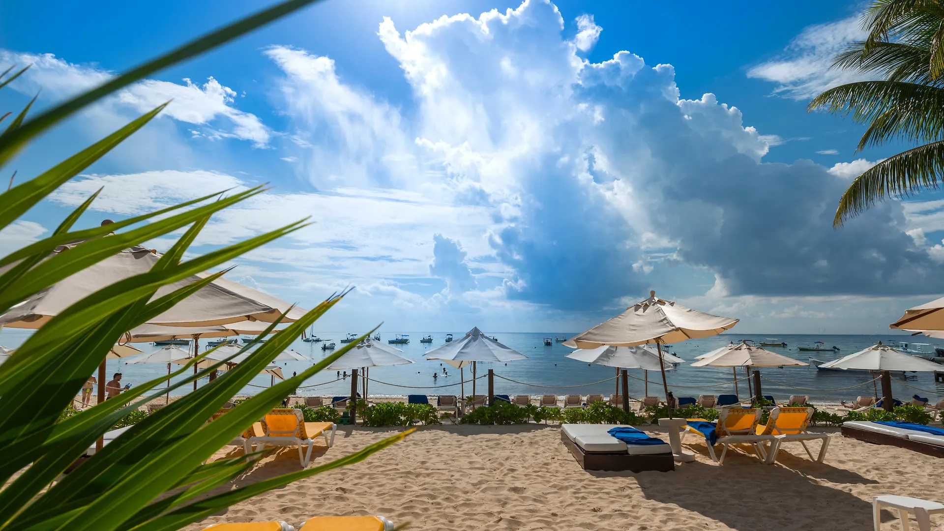 The Reef Coco Beach Resort & Spa Playa del Carmen